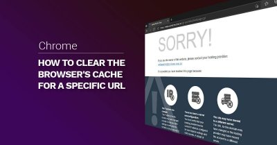 How to clear the browser's Cache for a specific URL / page How to clear the browser's Cache for a specific URL / page