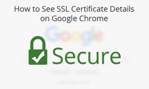 How to See SSL Certification Details on Google Chrome How to See SSL Certification Details on Google Chrome